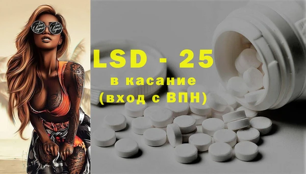 ГАЛЛЮЦИНОГЕННЫЕ ГРИБЫ Алексин