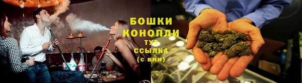 прущие грибы Ростов