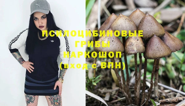 круглые Алексеевка