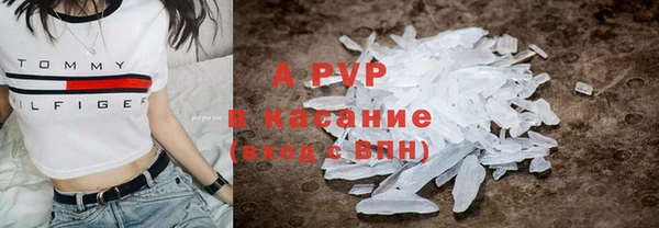 прущие грибы Ростов