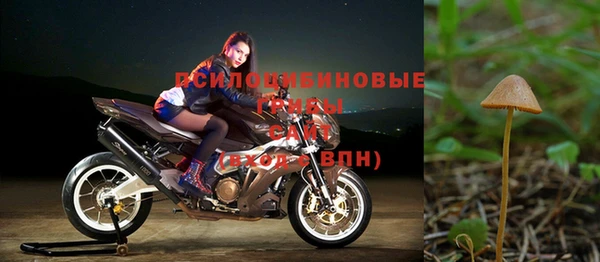 ешки Рославль