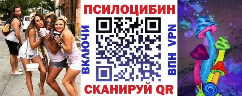 Псилоцибиновые грибы Psilocybe  Ижевск 
