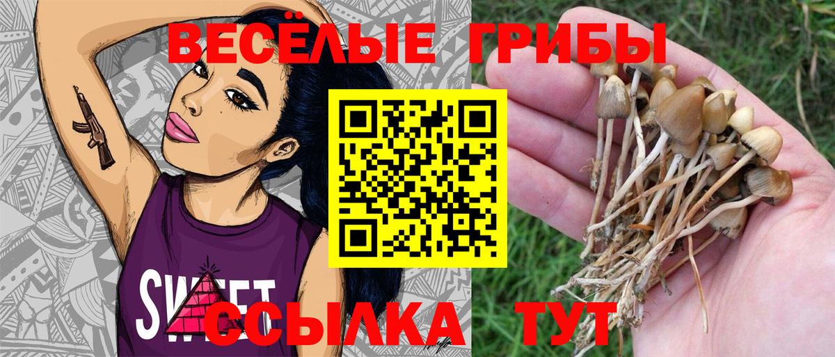 Псилоцибиновые грибы мухоморы  Вход с VPN  Ижевск 